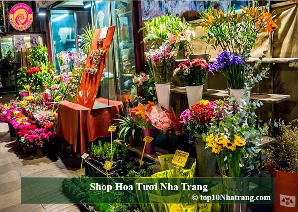 Shop Hoa Tươi Nha Trang