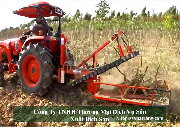 Công Ty TNHH Thương Mại Dịch Vụ Sản Xuất Bích Sơn